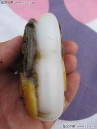 朝阳黑料,揭开真相背后的迷雾